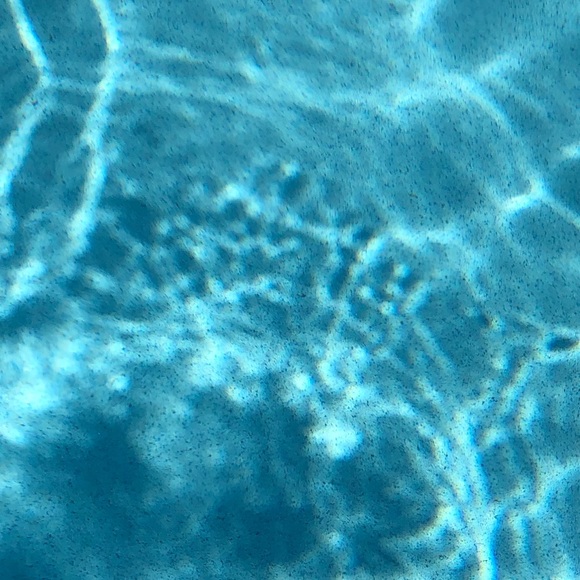 Meet your Posher, Cece - Picture 1 of 1